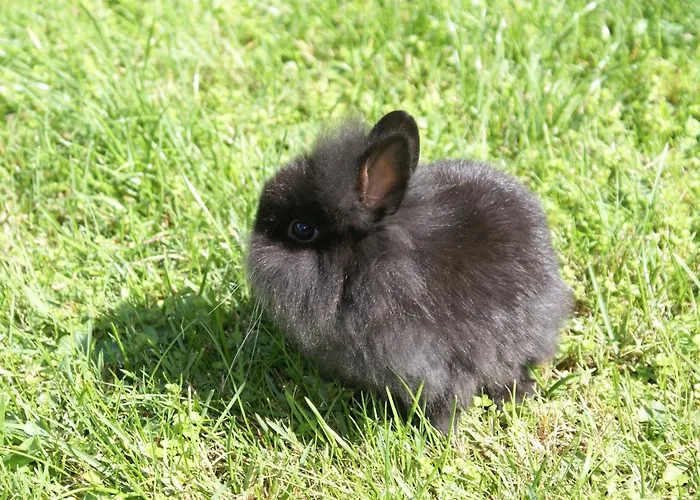 Eschenhof & Hotel Fulpmes