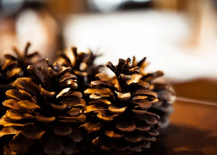 Hotel Eschenhof & 3*