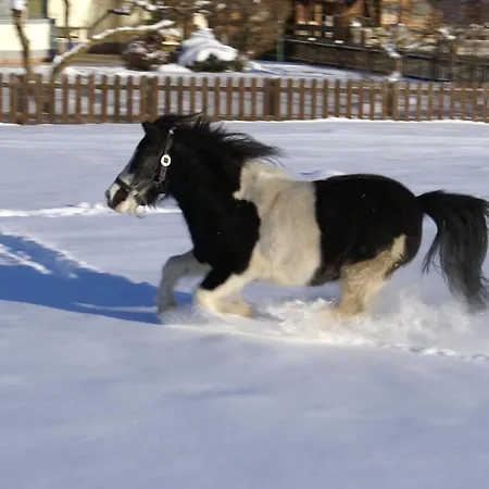 ホテル Eschenhof &