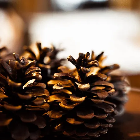 ホテル Eschenhof & 3*